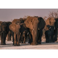 Acheter un puzzle 1000 pièces et 500 pièces JC Pieri