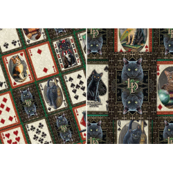 Acheter Jeu de 54 cartes Bicycle Cats