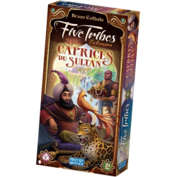 Five Tribes est un jeu de stratégie basé sur le principe de l'awalé.