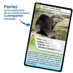 L'édition Animaux d'eau douce de Défis Nature.