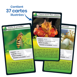 L'édition Abeilles et autres pollinisateurs de Défis Nature.