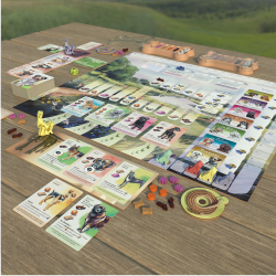 Acheter le jeu de société Dog Park Lucky Duck Games