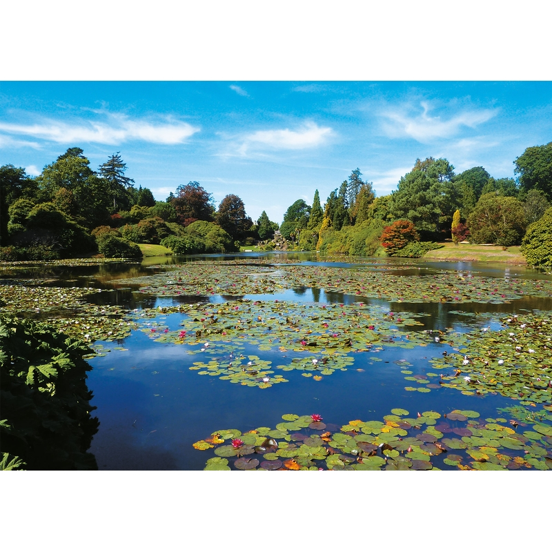 Acheter un Puzzle 1000 pièces Pïatnik