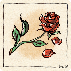 Acheter le jeu de société Focus Old Chap