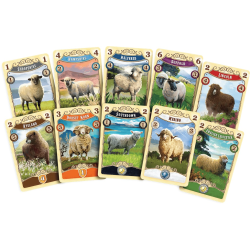 Acheter jeu de société Great Western Trail - Nouvelle Zélande