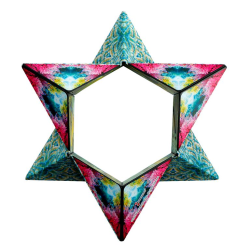 Acheter le jeu Shashibo