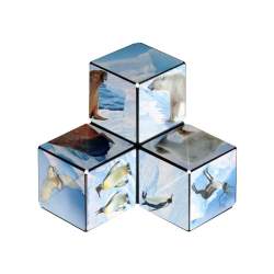 Acheter le jeu Shashibo