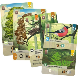 Acheter le jeu de société Forêt Mixte