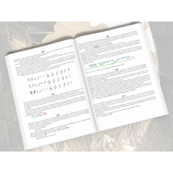 Acheter le livre dont vous êtes le héros La Pierre du Dragon Makaka