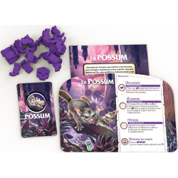 Acheter le jeu de société Kauri