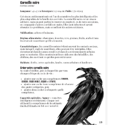 Acheter le jeu de rôle solo La voie du Corbeau