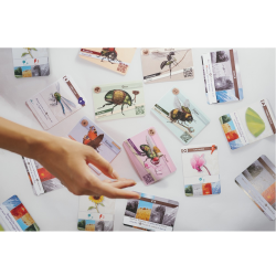 Acheter le jeu de société Budizz