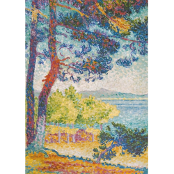 Acheter un Puzzle 1000 pièces Pïatnik