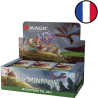 Acheter boite 36 Booster de jeu Magic Bloomburrow