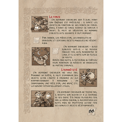 Découvrez la DB dont vous êtes le héros : Chevaliers