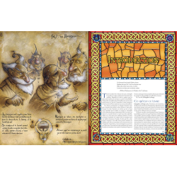 Acheter le jeu de rôles Changelin le songe 20è anniversaire