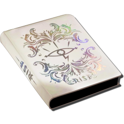 Acheter un Binder collector de Rise TCG