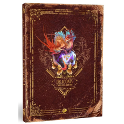 Acheter le jeu Draconis : L'appel de l'aventure