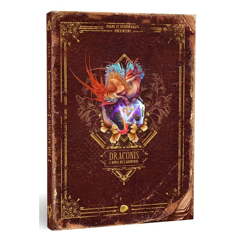 Acheter le jeu Draconis : L'appel de l'aventure