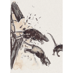 Acheter le jeu de rôles solo les murs me parlent