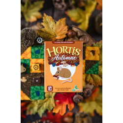 Acheter le jeu Hortis Automne Origames