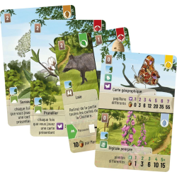Acheter le jeu de société Forêt Mixte extension Woodland