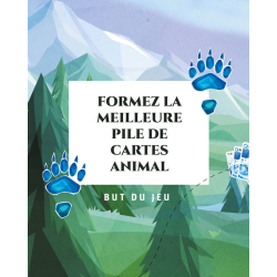 Acheter le jeu de société Aerctic Ludonaute