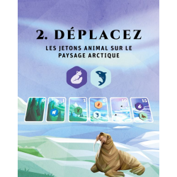 Acheter le jeu de société Aerctic Ludonaute