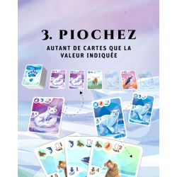 Acheter le jeu de société Aerctic Ludonaute