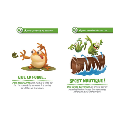 Acheter le jeu de société Croa origames