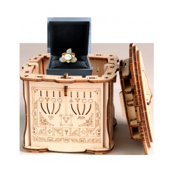 Acheter une Secret Box Lock Box Escape Welt