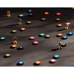 Acheter le jeu de société Lacuna Savana