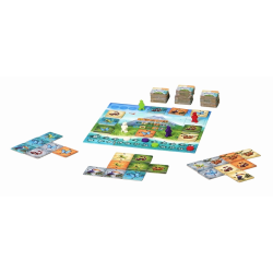 Acheter le jeu de société Piatnik Pura Vida