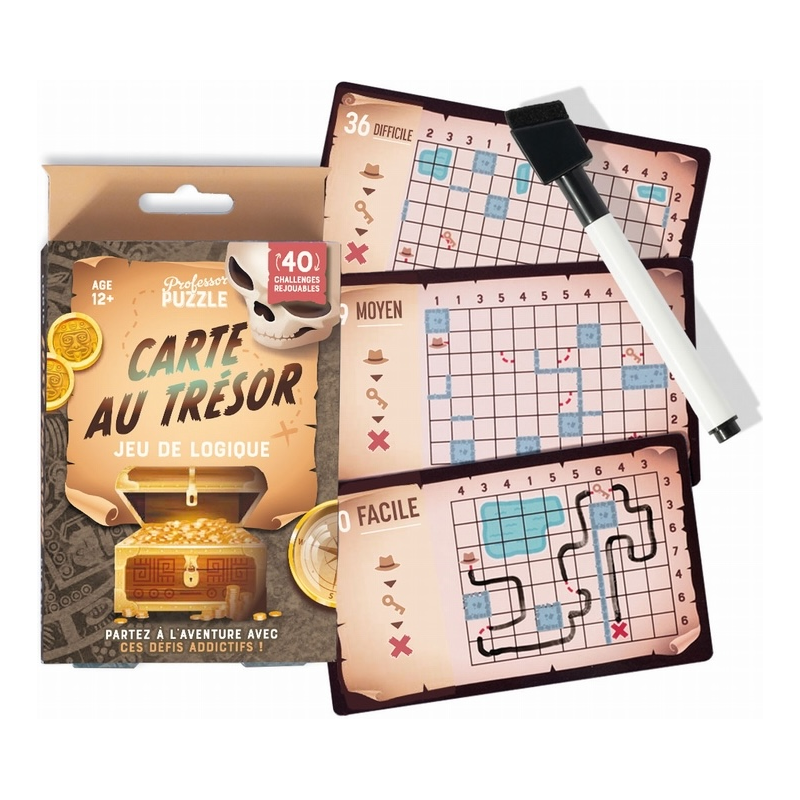 Acheter le jeu casse-tête de logique Carte au Trésor Professor Puzzle