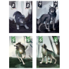 Acheter le jeu de société Terres de Loups Origames
