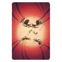 Dixit 8 Harmonies est une extension et comprend 84 nouvelles cartes.