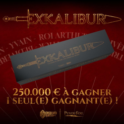 Acheter le jeu Excalibur la chasse au trésor la plus épique du monde