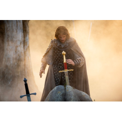 Acheter le jeu Excalibur la chasse au trésor la plus épique du monde