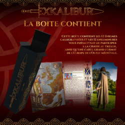 Acheter le jeu Excalibur la chasse au trésor la plus épique du monde
