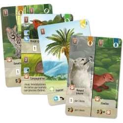 Acheter le jeu de société Forêt Mixte extension Exploration