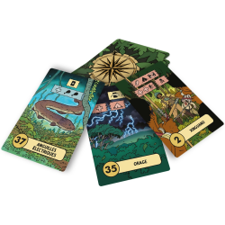 Acheter le jeu de société L'expédition Perdue