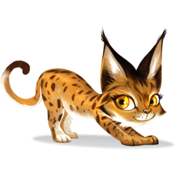 Acheter Zoo Run de Loki dans votre boutique FAIRPLAY