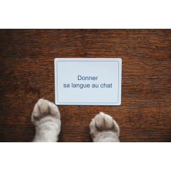 acheter le jeu de société Mimetix chez FAIRPLAY