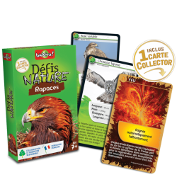 L'édition des Rapaces de Défis Nature.