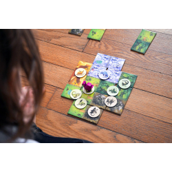 Acheter jeu de société Dragomino Blue Orange Bruno Cathala