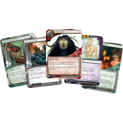 Netrunner est un jeu de cartes évolutif (JCE) asymétrique à 2 joueurs.