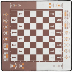 echecs pédagogique tapis de jeu
