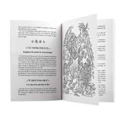 Acheter le livre jeux Alice au pays des Cauchemars