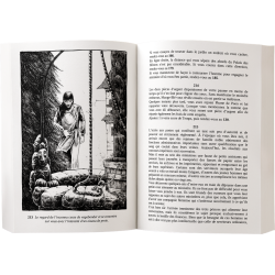 Acheter le livre jeux Fleurir en Hivers