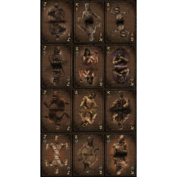 Acheter Jeu de 54 cartes Bicycle Mummies